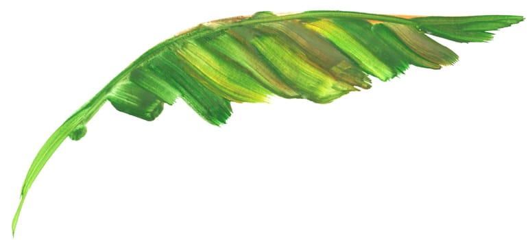 palm leaf painted in gouache with a dry brush isolated on a white background for the design of summer fabrics and other
