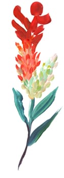 palm leaf painted in gouache with a dry brush isolated on a white background for the design of summer fabrics and other