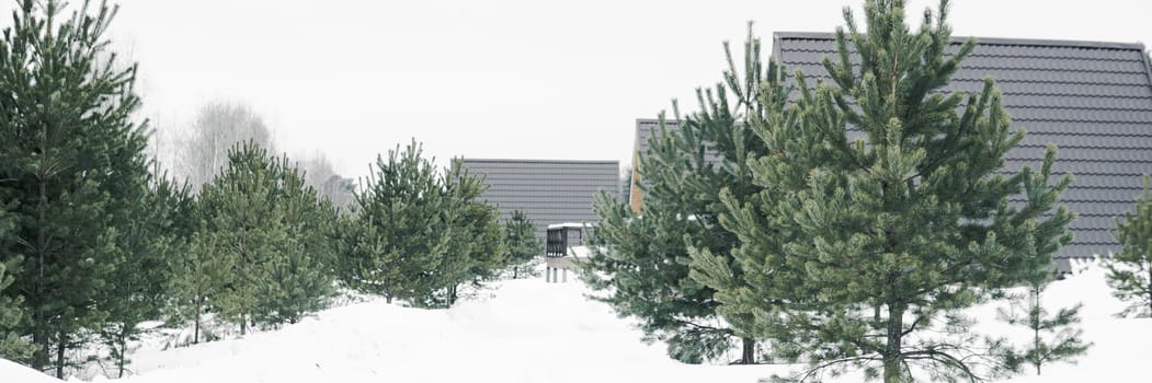 A country house in nature in winter. Rest in an ecologically clean place in winter. Glamping in nature