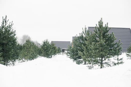 A country house in nature in winter. Rest in an ecologically clean place in winter. Glamping in nature