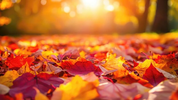 Vibrant red and orange leaves blanket the ground as the sun sets, casting a warm glow in a peaceful park.
