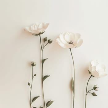 A cluster of delicate flowers in soft pink and white hues sways gently, showcasing their intricate petals and slender stems.