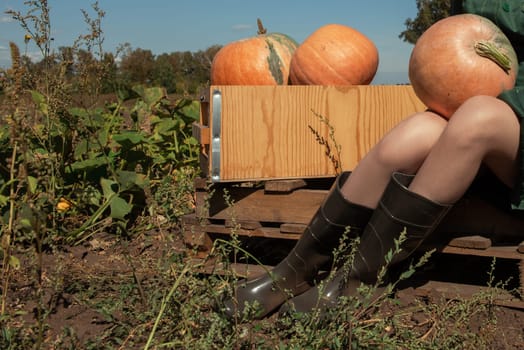 Closeup photo of the woman legs in boots with pumpkin sitting in autumn field, harvest concept