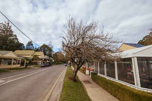 OLINDA, AUSTRALIA - AUGUST 15 2024: The quaint tourist country town of Olinda in the Dandenong Ranges on a quiet winter's afternoon in Victoria, Australia