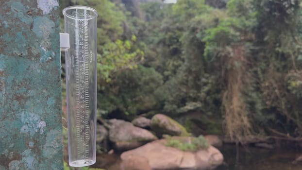 A video features a rain collection device in a lush rainforest with a blurred jungle backdrop, used to measure rainfall accumulation.