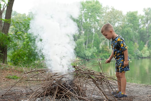 Wildlife concept. Picnic. A little boy, 4 years old, collects dry branches for a fire near a river in the forest in summer. Fishing. Childhood.