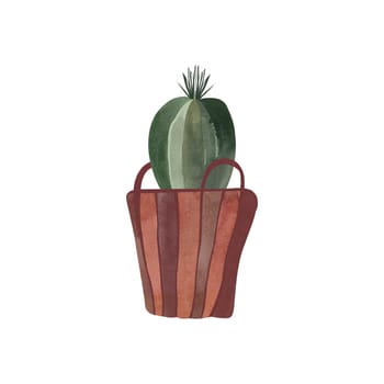 Cactus in a wicker basket. Plants for the home. Floriculture. Interior decoration. Isolated watercolor illustration on white background. Clipart