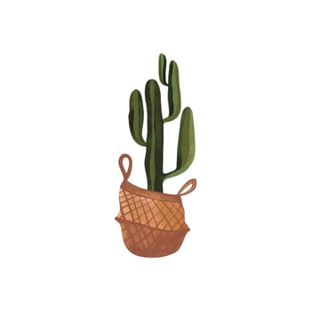 Cactus in a wicker basket. Plants for the home. Floriculture. Interior decoration. Isolated watercolor illustration on white background. Clipart