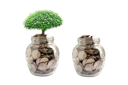 Tree plumule leaf on save money coins, Business finance saving banking investment concept.