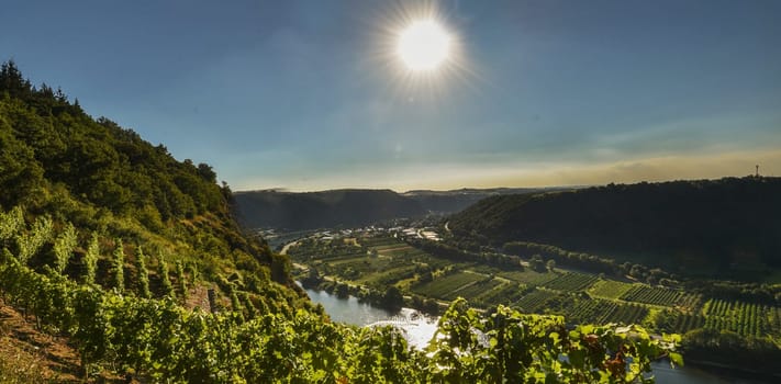 A Magical Germany pictures