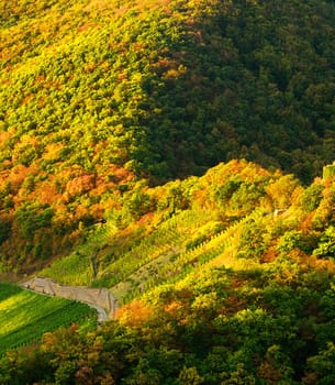 A Magical Germany pictures