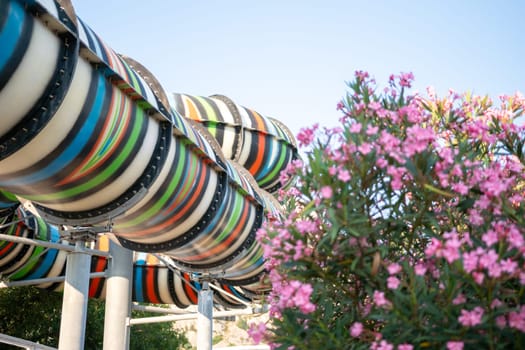 A colorful waterslide twists through the air, framed by a lush bush bursting with pink flowers. family vacation concept