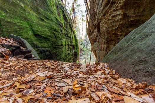 View of Cantwell Cliffs, Hocking Hills State Park, Ohio