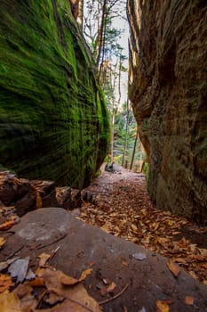 View of Cantwell Cliffs, Hocking Hills State Park, Ohio