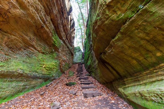 View of Cantwell Cliffs, Hocking Hills State Park, Ohio