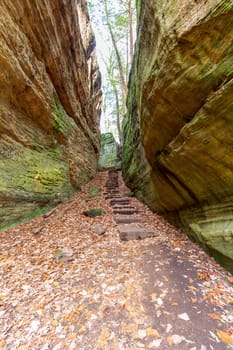 View of Cantwell Cliffs, Hocking Hills State Park, Ohio