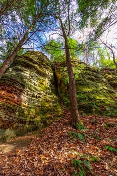 View of Cantwell Cliffs, Hocking Hills State Park, Ohio
