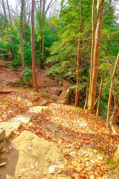 View of Cantwell Cliffs, Hocking Hills State Park, Ohio