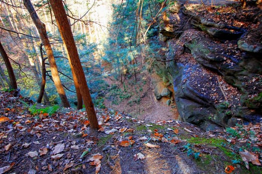 View of Cantwell Cliffs, Hocking Hills State Park, Ohio