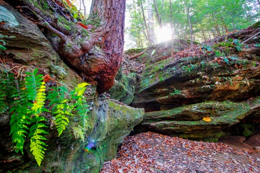 View of Rockhouse, Hocking Hills State Park, Ohio