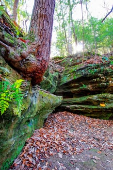 View of Rockhouse, Hocking Hills State Park, Ohio
