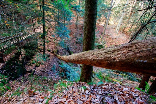View of Rockhouse, Hocking Hills State Park, Ohio