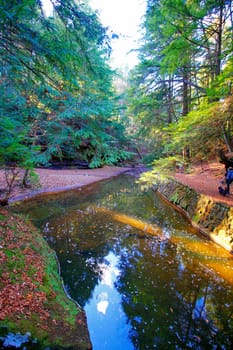 Views at Cedar Falls Unit, Hocking Hills State Park, Ohio