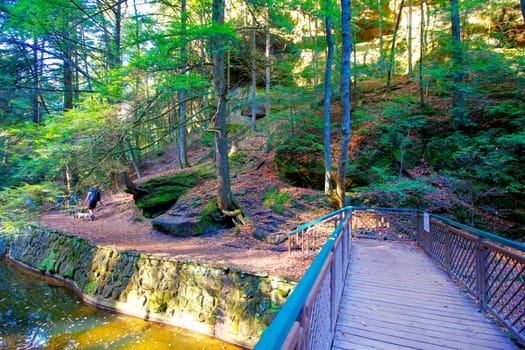 Views at Cedar Falls Unit, Hocking Hills State Park, Ohio