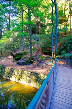 Views at Cedar Falls Unit, Hocking Hills State Park, Ohio