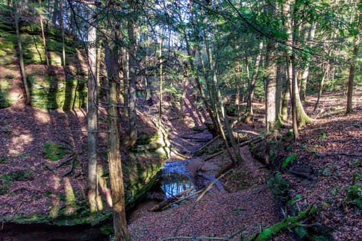 Views at Cedar Falls Unit, Hocking Hills State Park, Ohio