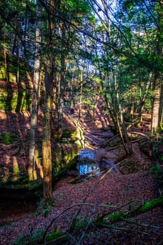 Views at Cedar Falls Unit, Hocking Hills State Park, Ohio