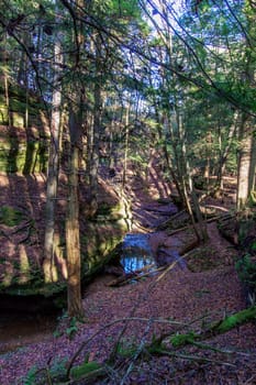 Views at Cedar Falls Unit, Hocking Hills State Park, Ohio