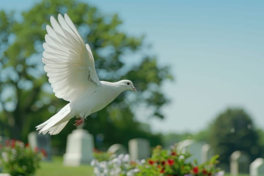 Symbol of Peace and Remembrance Soaring in Blue Sky Above Green Cemetery, Serene Dove of Hope.