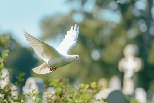 Symbol of Peace and Remembrance Soaring in Blue Sky Above Green Cemetery, Serene Dove of Hope.
