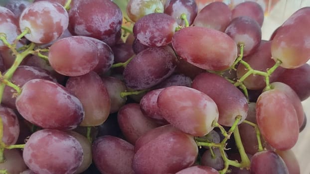 red pink fresh grapes fruits , healthy food breakfast , food products , nature , diet. High quality photo