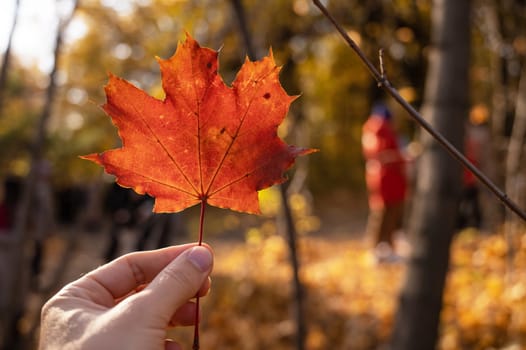 Maple leaf holding in hand on autumn bright yellow and orange background