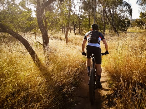 Mountain bike and walking trails along the Yarra River thru Westerfolds Park and Candlebark Park in northern Melbourne in Victoria, Australia