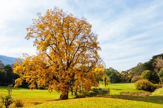 Warburton Golf Club on a cool autumn day in Victoria, Australia