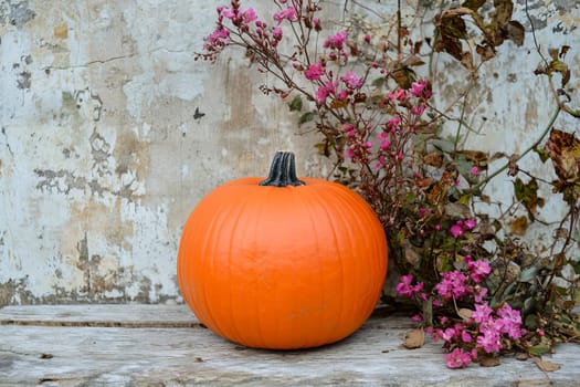 Close-up of shabby chic pumpkin.