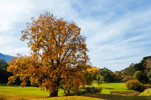 Warburton Golf Club on a cool autumn day in Victoria, Australia