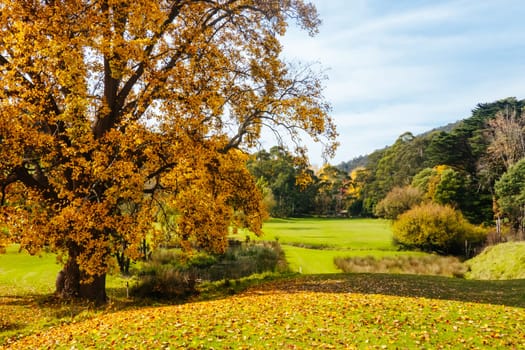 Warburton Golf Club on a cool autumn day in Victoria, Australia