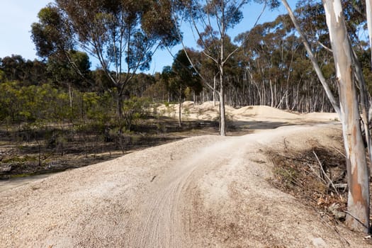 The popular You Yangs mountain bike park and Kurrajong area on a hot autumn day in Little River, Victoria, Australia