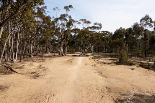 The popular You Yangs mountain bike park and Kurrajong area on a hot autumn day in Little River, Victoria, Australia