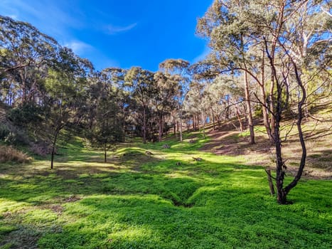 Mountain bike and walking trails in Plenty Gorge State Park in northern Melbourne in Victoria, Australia