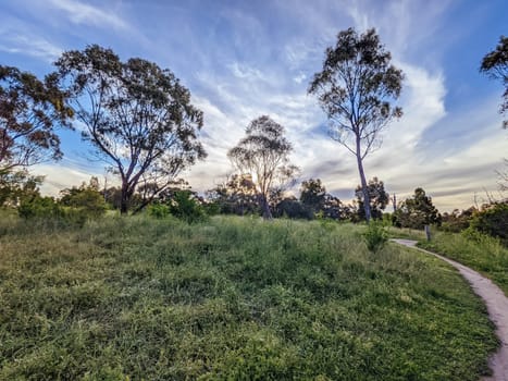 Mountain bike and walking trails along the Yarra River thru Westerfolds Park and Candlebark Park in northern Melbourne in Victoria, Australia