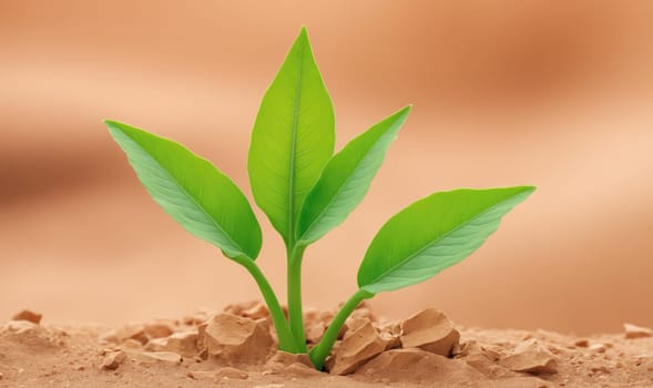 A green plant with three leaves grows out of the cracks in a dry, tan, rocky patch of earth.