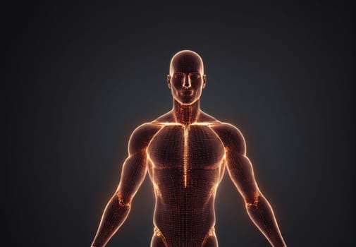 A human figure stands confidently with arms slightly raised, illuminated by glowing lines that outline muscles and joints. The dark background enhances the luminous effect, showcasing anatomical details and emphasizing the structure of the body.