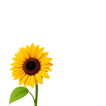 A vibrant sunflower stands tall with its golden petals radiating around a dark center, showcasing its beauty against a clean white backdrop, evoking feelings of warmth and joy.
