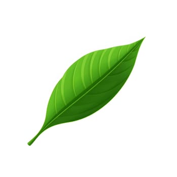 A vibrant green leaf features intricate vein patterns and a smooth surface against a clean white background. This leaf represents freshness and nature's beauty.