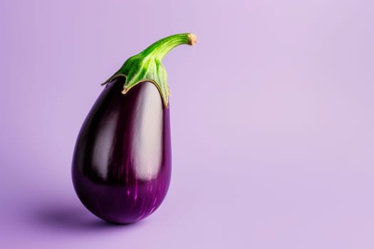 Ripe eggplant on a bright background. Minimalism.